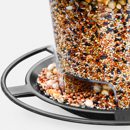 Hanging Plastic Bird Feeder with Clear Seed Compartment, Drainage & Twist-Lock Lid