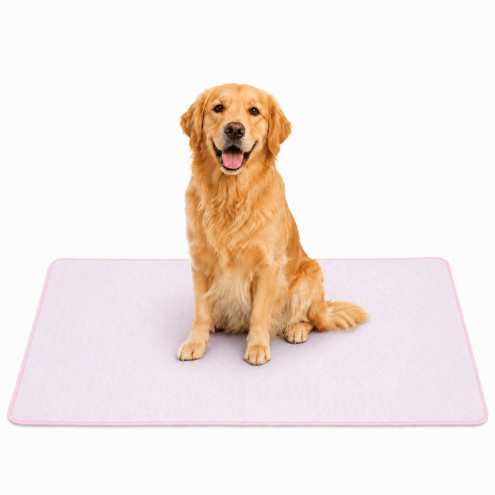 4-Layer Dog Cooling Mat