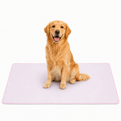 4-Layer Dog Cooling Mat
