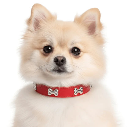 Classic Everyday Dog Collar
