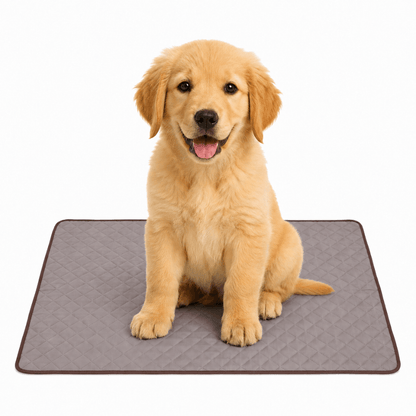 4-Layer Dog Cooling Mat