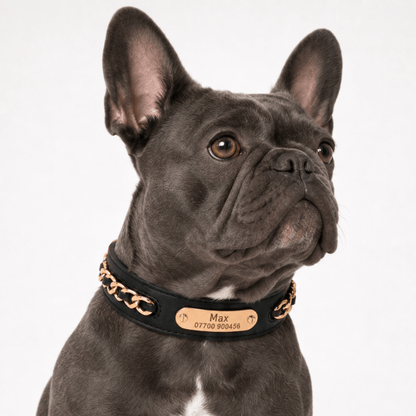Premium Leather Custom Nameplate Dog Collar