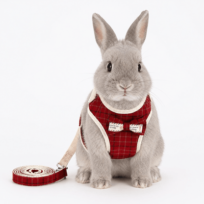 Small Bow Tie Pet Harness & Lead Set