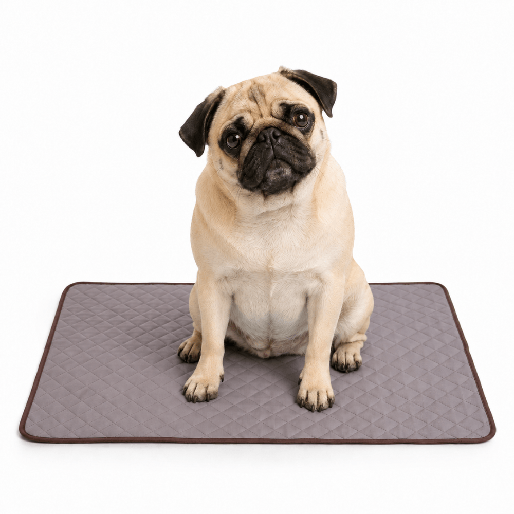4-Layer Dog Cooling Mat