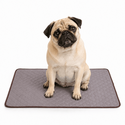 4-Layer Dog Cooling Mat