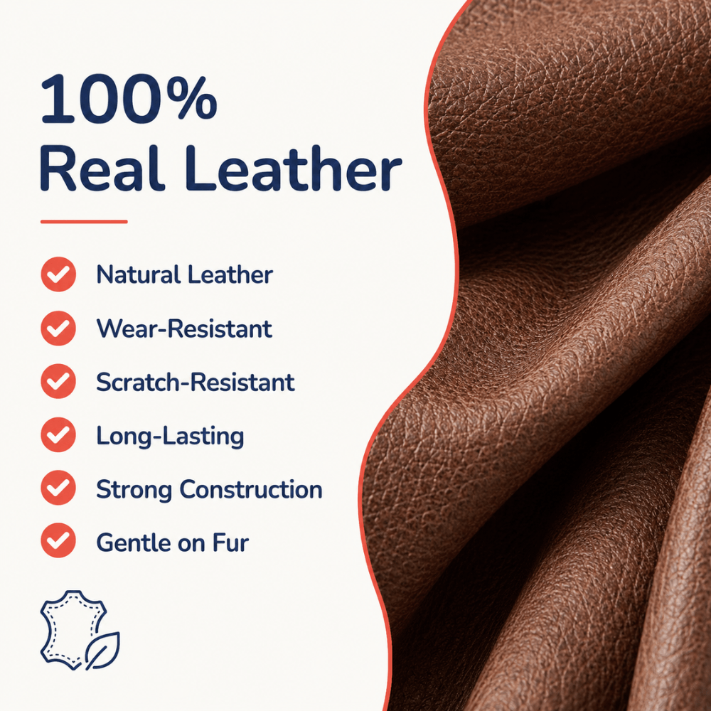 Premium Leather Custom Nameplate Dog Collar
