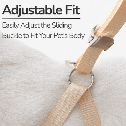 Small Bow Tie Pet Harness & Lead Set
