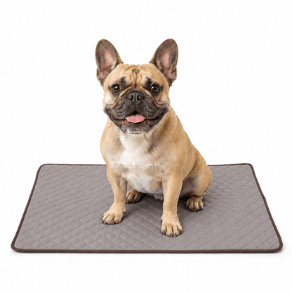 4-Layer Dog Cooling Mat
