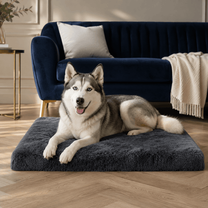 Orthopaedic Memory Foam Dog Bed with Plush Cover