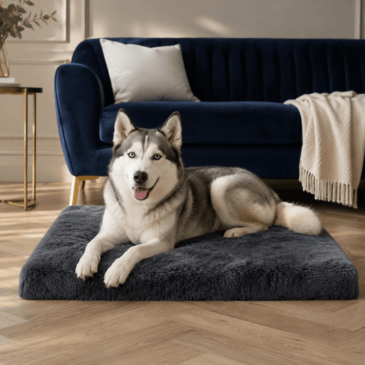Orthopaedic Memory Foam Dog Bed with Plush Cover