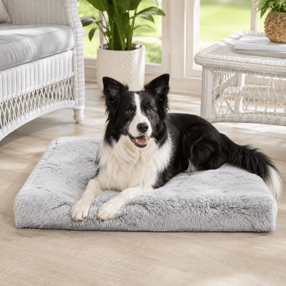 Orthopaedic Memory Foam Dog Bed with Plush Cover