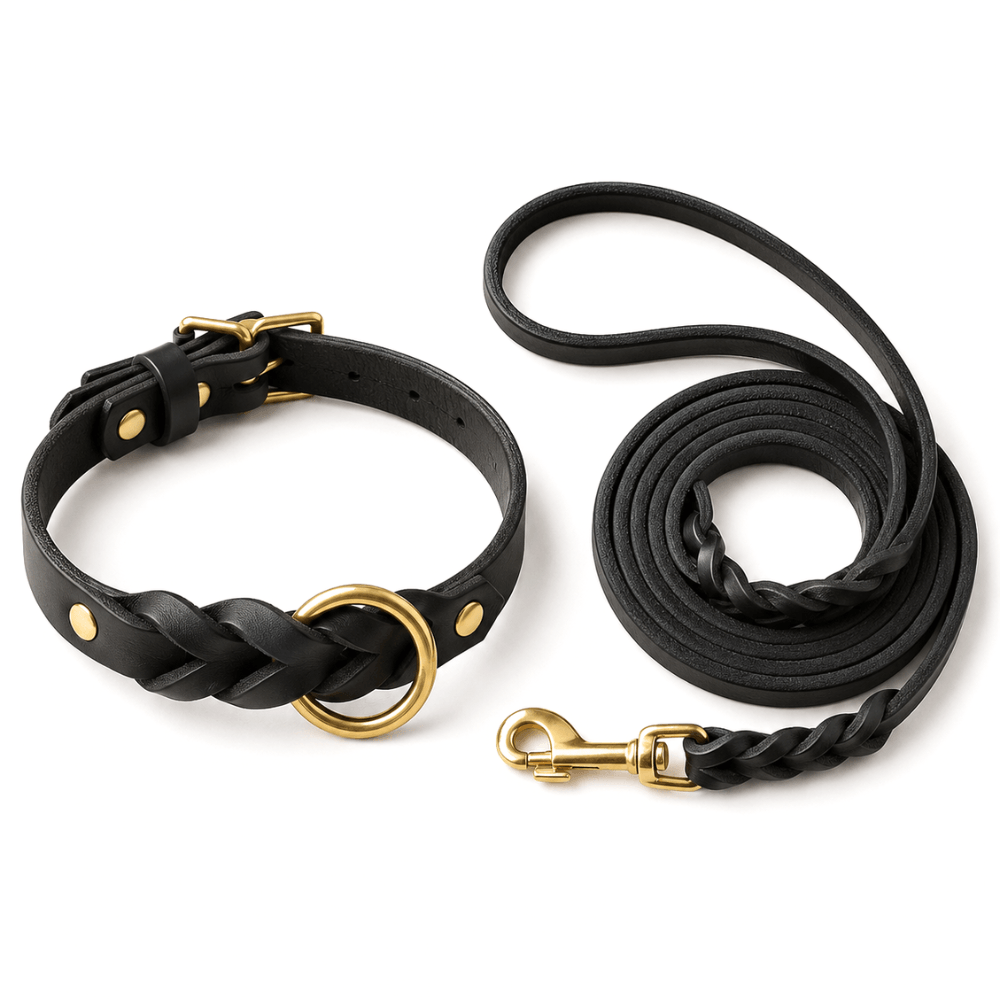 Genuine Leather Dog Collar & Lead Set