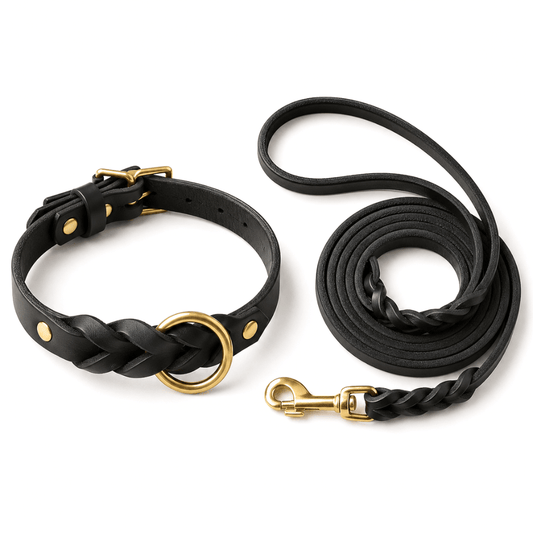Genuine Leather Dog Collar & Lead Set