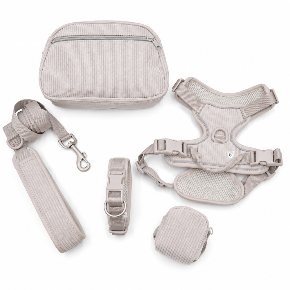 5-Piece Corduroy Dog Harness & Lead Set