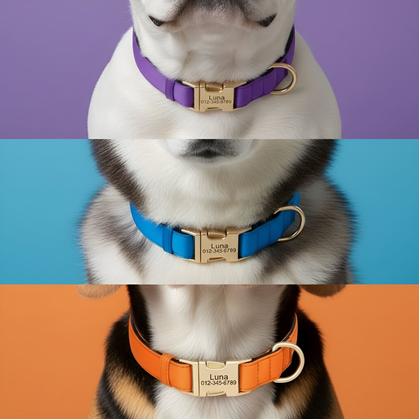 Colorful Laser-Engraved Dog Collar