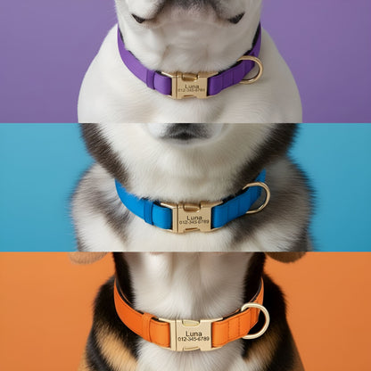 Colorful Laser-Engraved Dog Collar