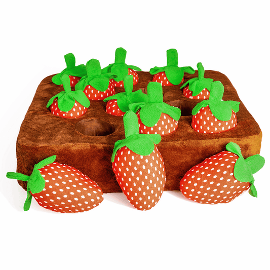 Strawberry Garden Snuffle Mat-Mister Paws