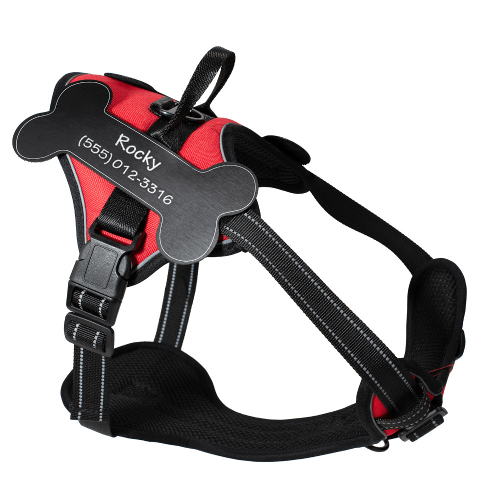Custom Name No-Pull Dog Harness