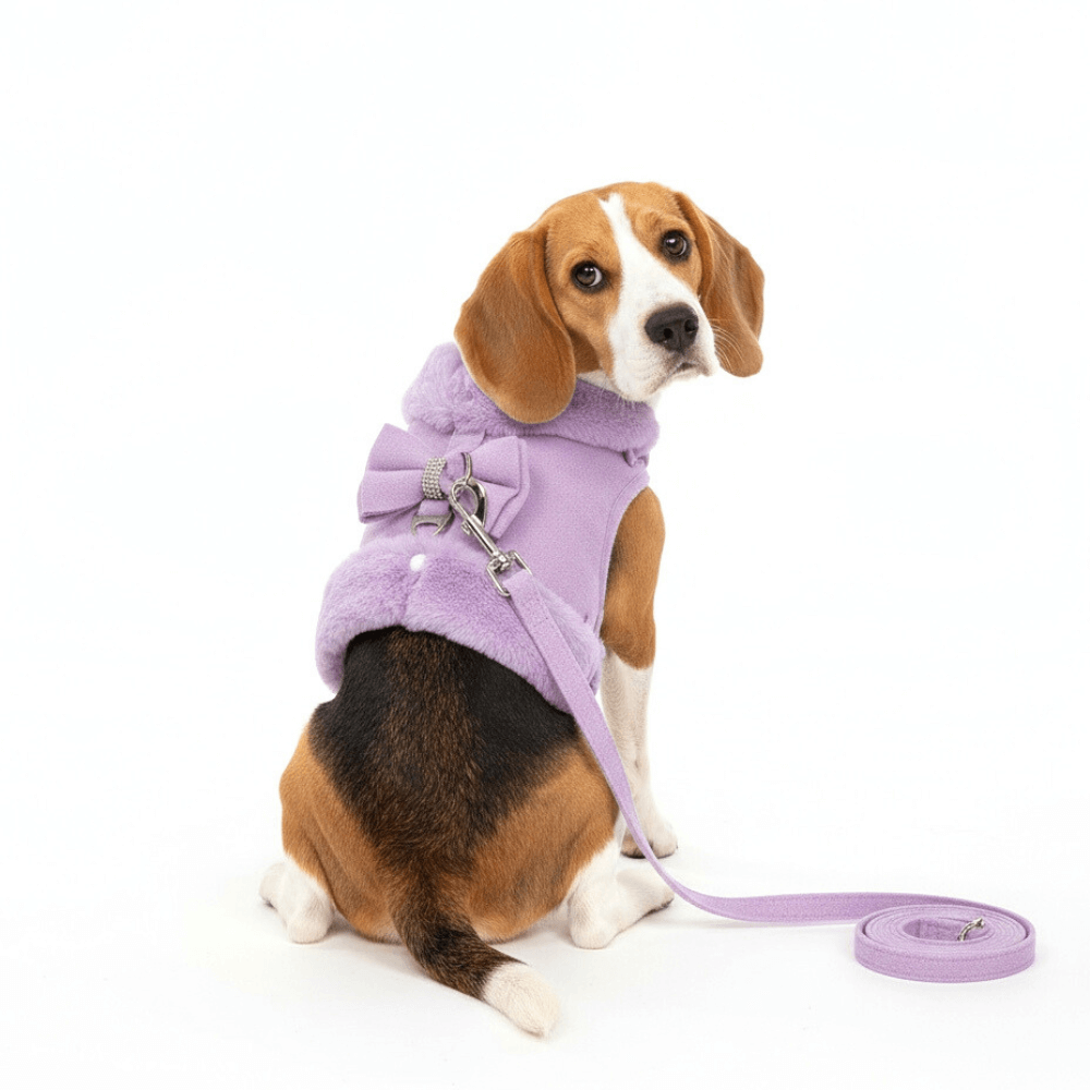 Bow Vest Harness and Leash Set