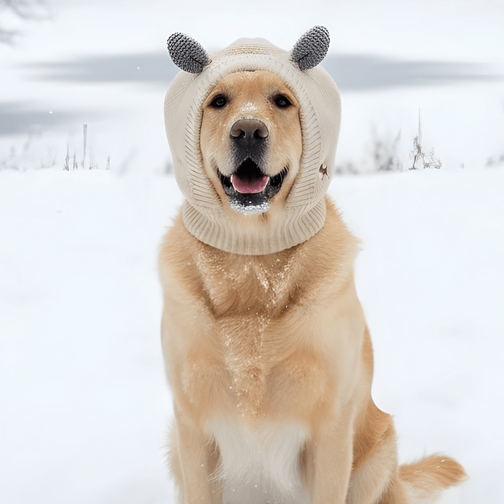 Knitted Winter Dog Ear Muffs & Cover for Noise Protection