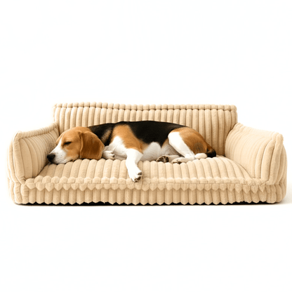 Luxurious Relaxation Sofa Bed