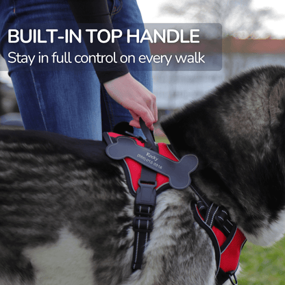 Custom Name No-Pull Dog Harness