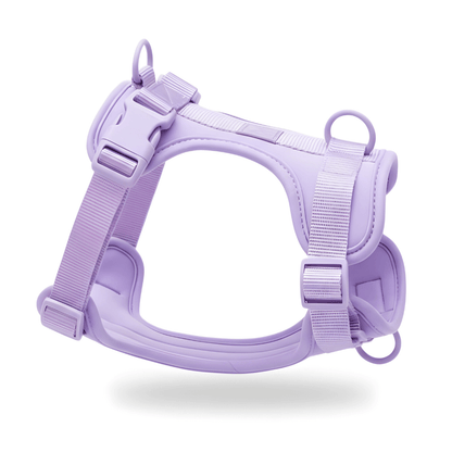 4-Piece Dog Harness & Lead Set