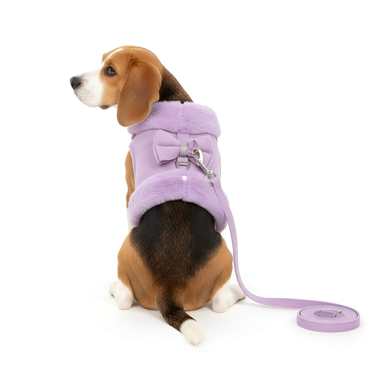 Bow Vest Harness and Leash Set