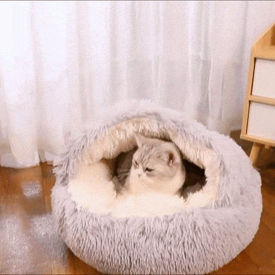 Plush Calming Pet Hooded Cave Bed For Cats & Small Dogs