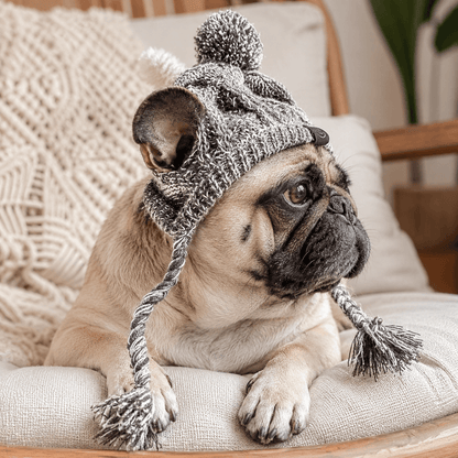 Cosy Knitted Dog Beanie Hat for Winter