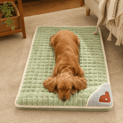 Orthopaedic Memory Foam Dog Bed with Washable Cover