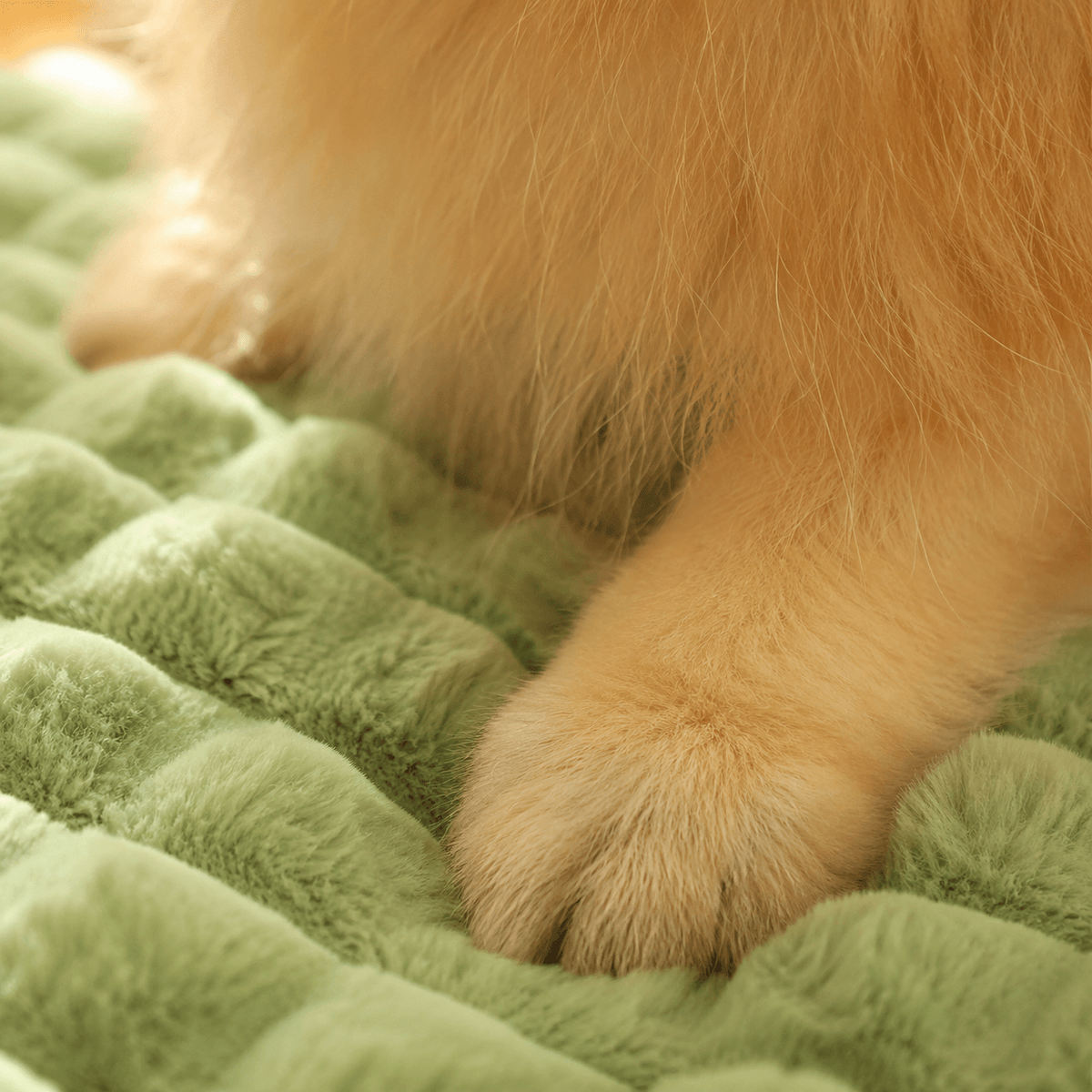 Orthopaedic Memory Foam Dog Bed with Washable Cover