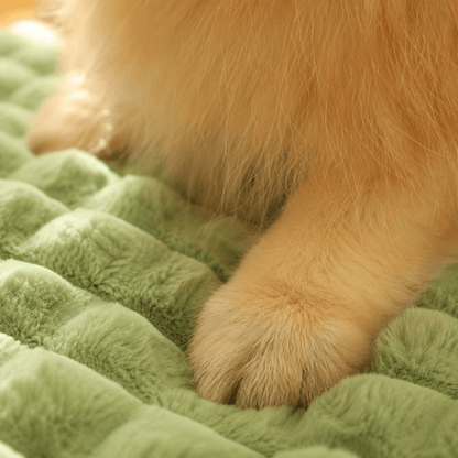 Orthopaedic Memory Foam Dog Bed with Washable Cover
