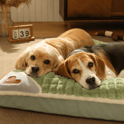Orthopaedic Memory Foam Dog Bed with Washable Cover