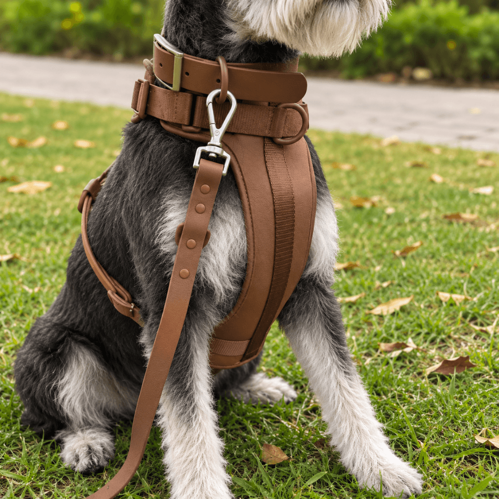 4-Piece Dog Harness & Lead Set
