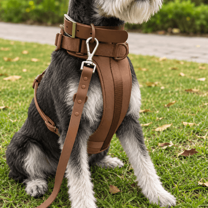 4-Piece Dog Harness & Lead Set