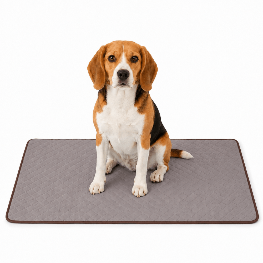 4-Layer Dog Cooling Mat