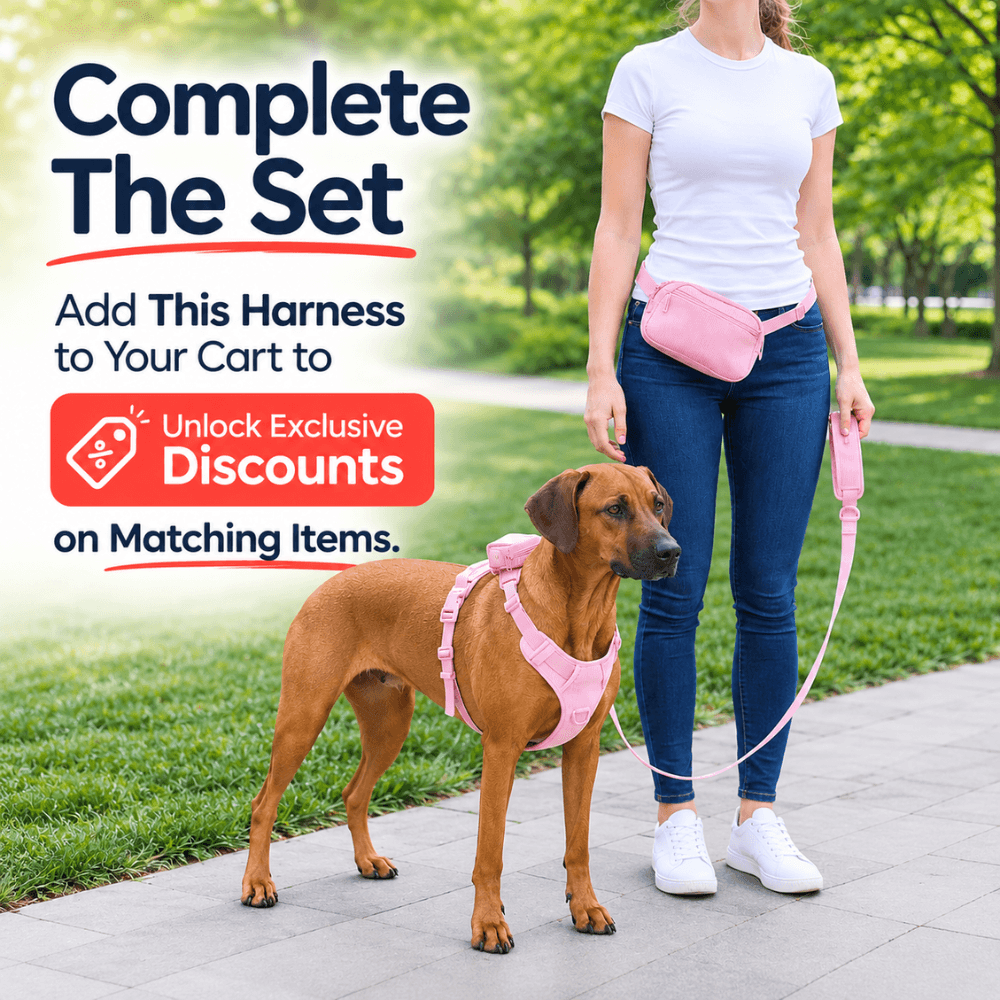 No-Pull Corduroy Dog Harness