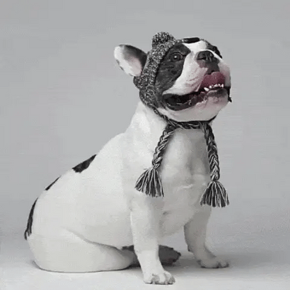 Cosy Knitted Dog Beanie Hat for Winter
