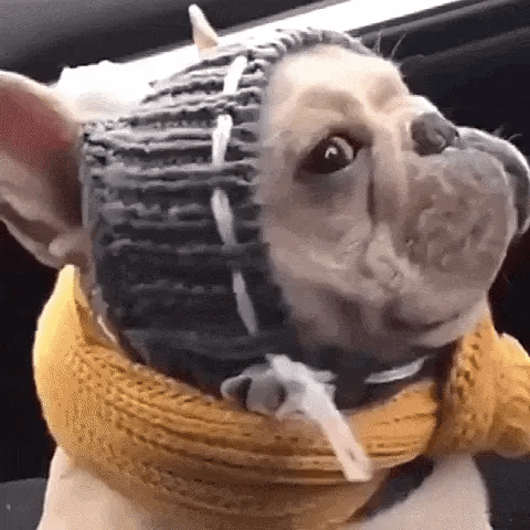 One-Size Christmas Knitted Dog Beanie for Winter