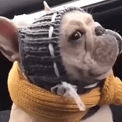 One-Size Christmas Knitted Dog Beanie for Winter