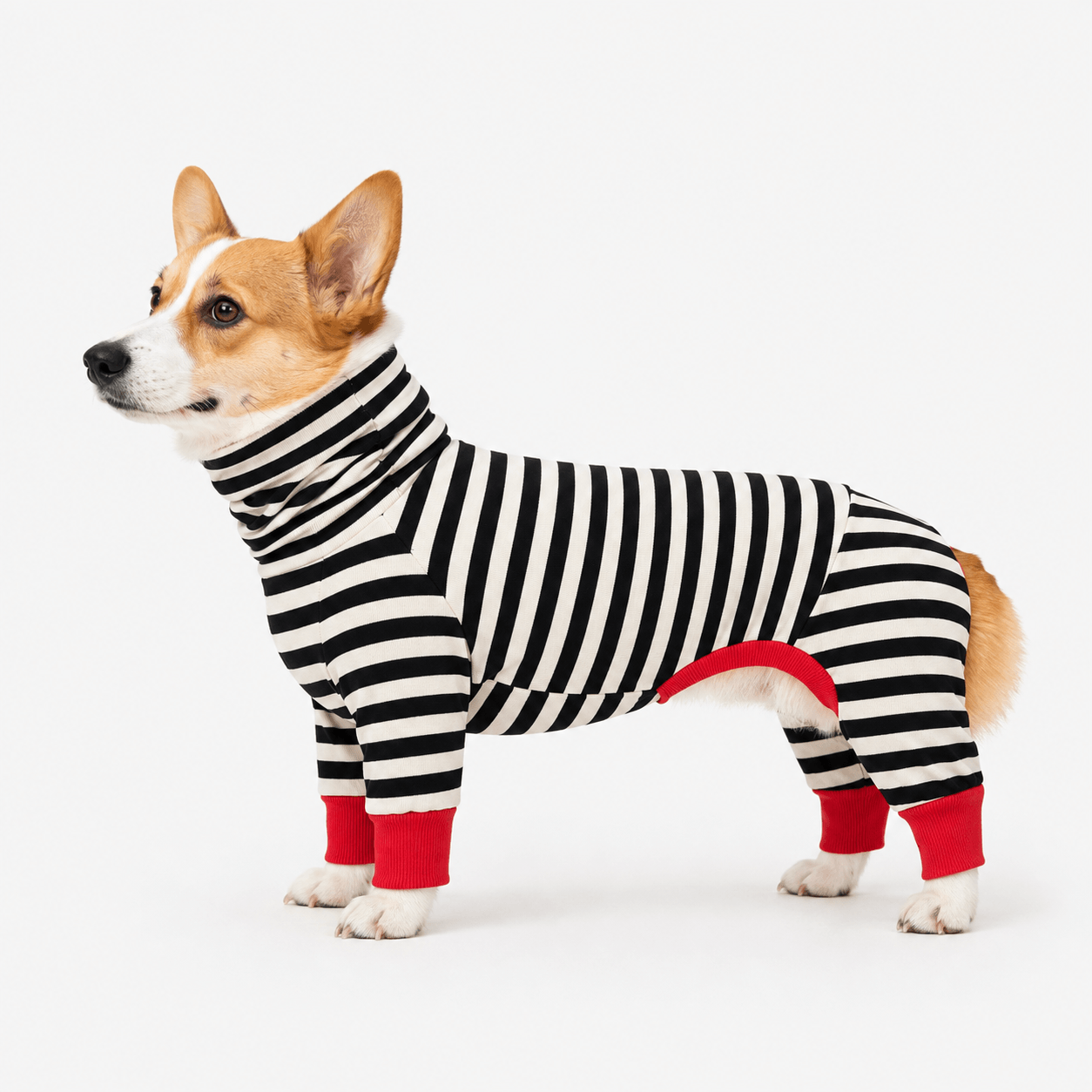 Cosy Zebra Stripes Dog Onesie Pyjamas