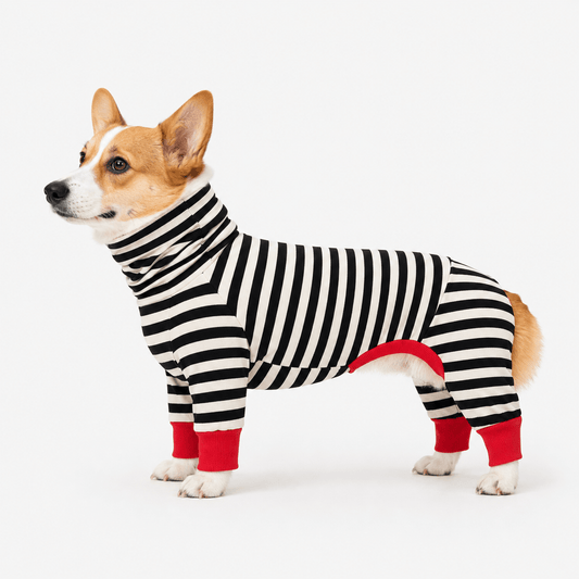 Cosy Zebra Stripes Dog Onesie Pyjamas