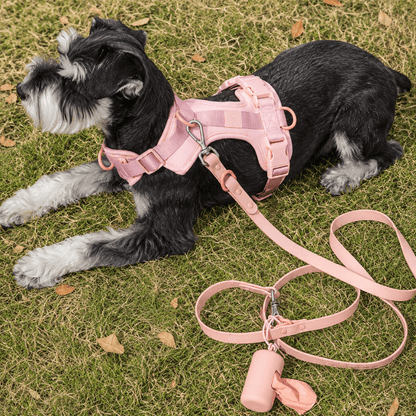 4-Piece Dog Harness & Lead Set