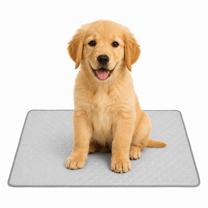 4-Layer Dog Cooling Mat
