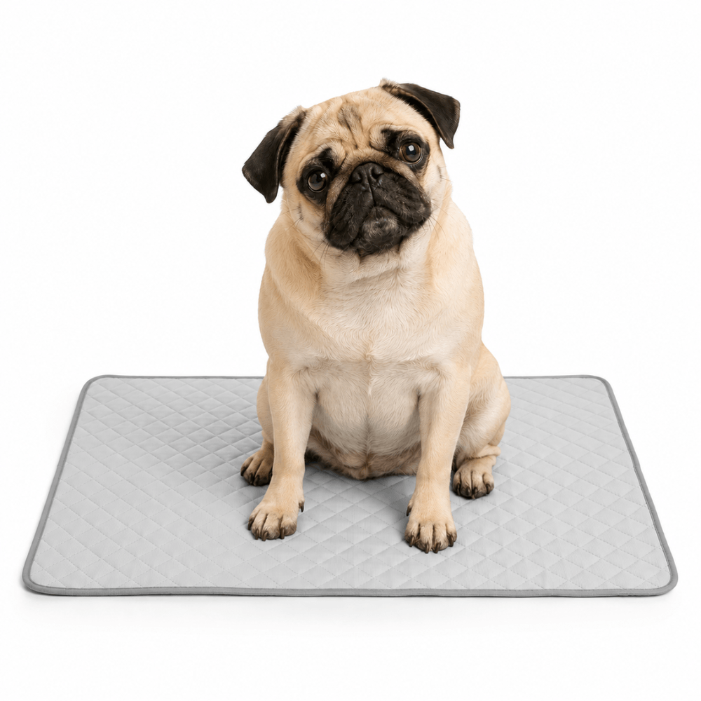 4-Layer Dog Cooling Mat