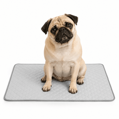 4-Layer Dog Cooling Mat