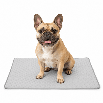 4-Layer Dog Cooling Mat