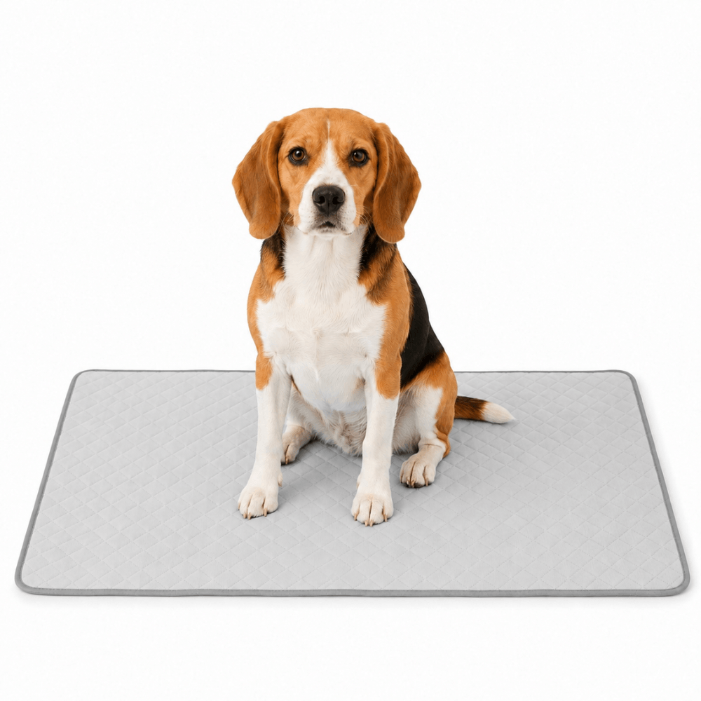 4-Layer Dog Cooling Mat