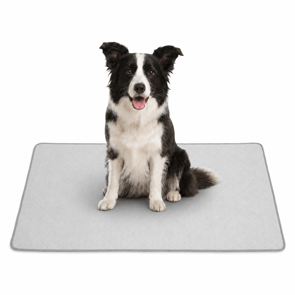 4-Layer Dog Cooling Mat